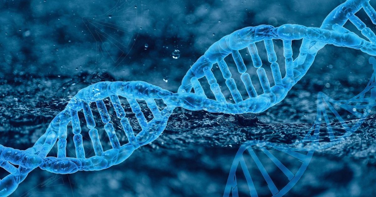 Codice DNA legami e connessioni